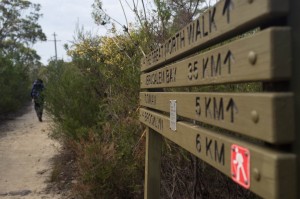 "The longest 6km of my life" (according to Garry): the fire trail to Brooklyn, Kuring-gai Chase NP