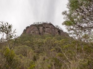 The South-Eastern corner of the massive Mt Quilty