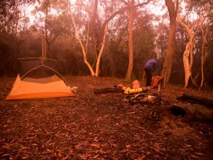 Campsite in clearing